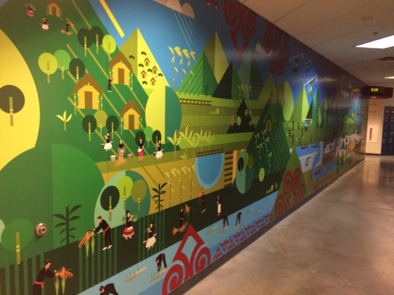 Wall Mural Vinyl - hmong prep