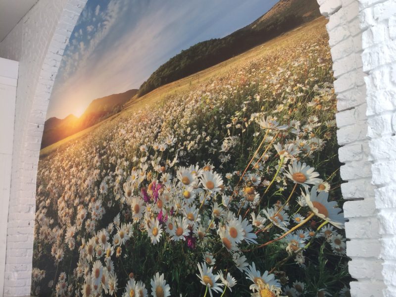 Wall Mural Vinyl Wrap