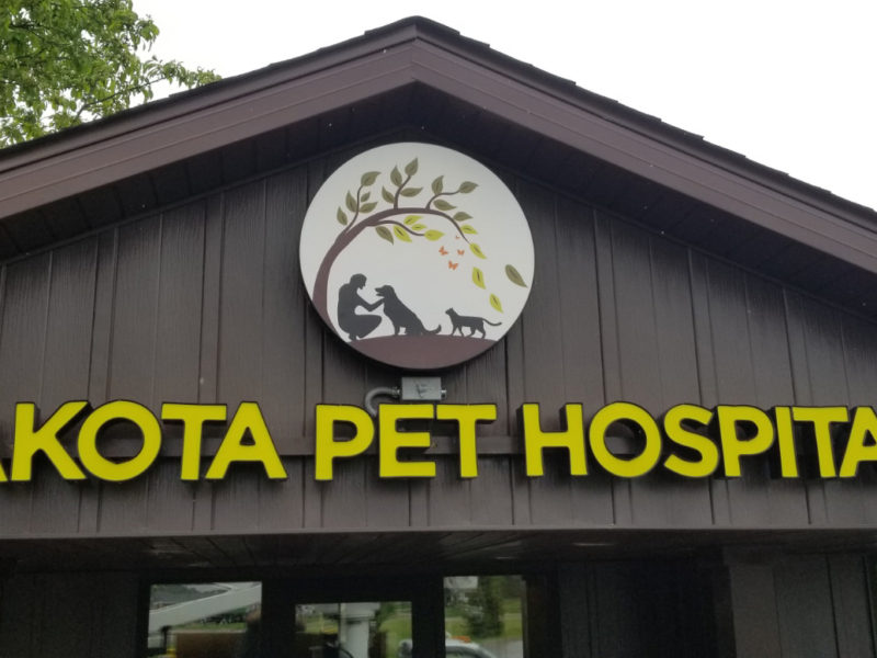Dakota Pet Hospital illuminated LED Channel Letter Sign