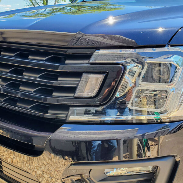 Ford - Chrome Delete